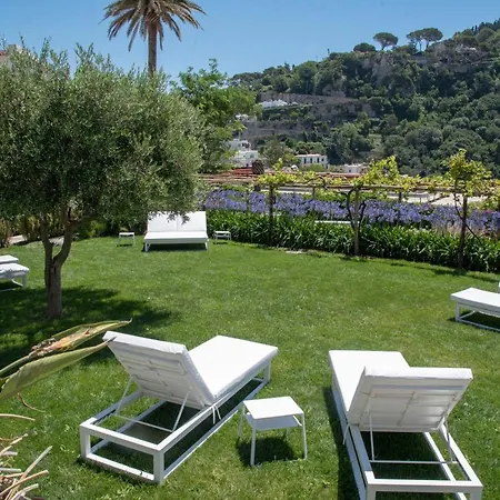 Garden *