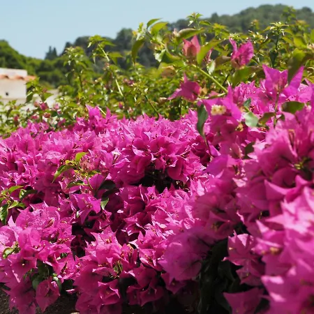 Gasthof Garden Capri